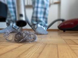 Pet fur or dust mites cause problems like allergies and it is your duty to clean all the dirt, dust, and hairs. 17 Best Vacuums For Long Hair 2021 The Ultimate Guide