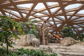gallery of elephant house zoo zurich markus schietsch architekten 1