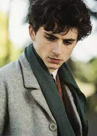 I don't believe i will ever marry. Timothee Chalamet Hq Timothee Chalamet Laurie Guys