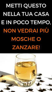 Con Il Caldo Le Mosche E Zanzare Sembrano Essersi Impossessate Di Casa Vostra Ecco I Rimedio Natura Interior Design Kitchen Contemporary The Cure Good To Know