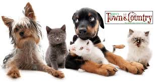 Visit your local surprise petsmart store for essential pet supplies like food, treats and more from top brands. Dale S Town Country Store Home Facebook