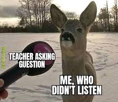 The Best Deer Memes Memedroid
