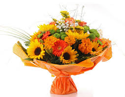 Scarica gratis immagini di fiori per il buongiorno. Fiori Per Congratulazioni Efiorista Online In Italia Ti Aiuta A Consegnare O Regalare Fiori E Piante Per Esprimere Le Congratulazioni