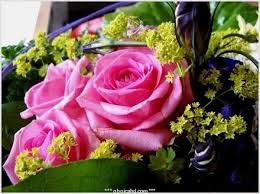 Blumen Geburtstag Bilder Kostenlos Bilder Gastebuchbilder Gbpicshd Geburtstag Blumen Kostenlose Bilder Zum Geburtstag Geburtstag Bilder