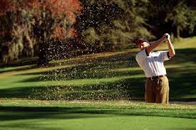 Lakewood Golf Club At The Grand In Point Clear Al A Member Of The Robert Trent Jones Golf Trail Golf Golf Clubs Lakewood