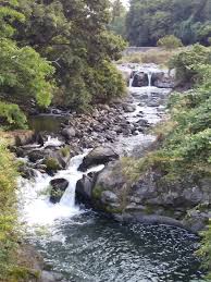 黄瀬川流域 長野県 駿河湾 沼津市 長泉町 裾野市 函南町 伊豆の国市 三島市 清水町 狩野川 富士市 御殿場市 東海道新幹線 鉄道（jr) 鉄道（私鉄） 高速道路 国道 東駿河湾環状道路 市町境界 流域界 河川（国管理） 河川 黄瀬川 大場川 来光川 柿沢川 黄瀬川橋. å¾¡æ®¿å ´ã§é»„ç€¬å·ã‚'çœºã‚ ç§‹ã®é›²ã§é ­ã‚'éš ã™å¯Œå£«å±±ã‚'æœ›ã‚€ ä½•åº¦ã§ã‚‚samsara