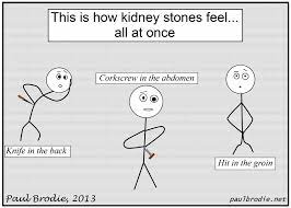 Symptoms include severe lower back pain a kidney stone is a hard object that is made from chemicals in the urine. Funny Quotes About Kidney Stones Quotesgram