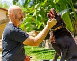 There will be more work to do. Columbus Dog Trainers Off Leash K9 Training Columbus