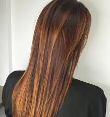 Light brown hair with amber blonde highlights. 15 Best Auburn Hair Colours Red Brown Hair Ideas