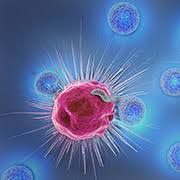 Maybe you would like to learn more about one of these? Cancer Du Poumon Traitements L Immunotherapie Medipedia
