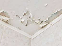 Check spelling or type a new query. How To Fix Peeling Paint On A Ceiling In 4 Steps Tribble Painting