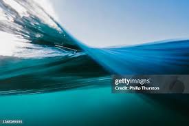 Image result for sea