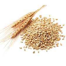 Refined rice bran oil | Vegetable oils | Interfat
