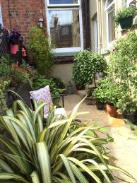 My Yard Victorian Terrace Yard Small Courtyard Gardens Courtyard Gardens Design Small Gardens