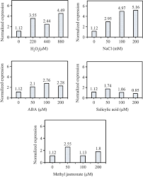 We did not find results for: Large Scale Production Of Recombinant Miraculin Protein In Transgenic Carrot Callus Suspension Cultures Using Air Lift Bioreactors Amb Express Full Text
