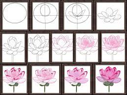 The petals are just curves that are slightly pointed at the top. How To Draw A Lotus Flower Step By Step Easy Lotus Drawing For Kids With Color