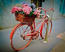 Many bicycles have baskets or back carriers which are the ideal spot to tuck away some flowers and vines. Bright Paint For Decorating Old Bikes And Recycling Frames For Colorful Garden Decorations