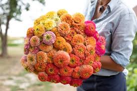 Below you will find a listing of all the plants in our index that produce orange flowers i'm sure that most of them produce many other colors of flowers as well! Grow Great Zinnias Floret Flowers