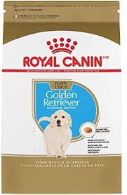 royal canin breed health nutrition golden retriever puppy dry dog food dry dog food retriever puppy golden retriever puppy