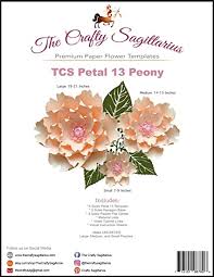 Some use normal printer paper or colored cardstock 1. Amazon Com Petal 13 Peony Complete Giant Paper Flower Template Stencil Kit