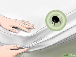 But dust mites can also be found underneath the baseboards and in vacuum cleaner bags, where they feel very comfortable because it is warm, dusty all these chemicals are effective dust mites killers, but you must use them with caution, because they can also cause allergies. How To Get Rid Of Dust Mites In Your Mattress 12 Steps