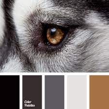 What colors could you mix with a red brown color to make a bright red color? Color Palette 1758 Black Color Palette Grey Color Palette Beige Color Palette