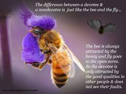 Bees tend to be pretty plump in the middle, while wasps and hornets have thinner waists and more elongated bodies. Quotes About Honey Bee 65 Quotes