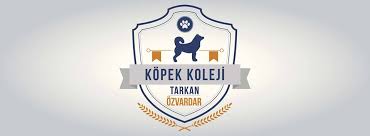 Kopek Koleji Home Facebook