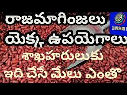 Its meaning is 'डेगची' which can be transliterated into english as 'degci'. Rajma Seeds Meaning In Telugu