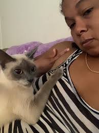 🧡Happy Ginger Cat Appreciation Day!🧡