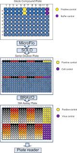 Vero cells from these flasks were used to prepare the master cell bank (mcb). Automated Cell Based Luminescence Assay For Profiling Antiviral Compound Activity Against Enteroviruses Scientific Reports