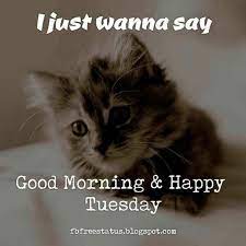 Funny Tuesday Memes 2 Tuesday Quotes Good Morning Happy Tuesday Morning Happy Tuesday Quotes