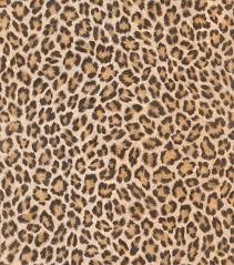 We did not find results for: Free Download Natural Leopard Print Vinyl Wall Covering Wallpaper By Washington 566x640 For Your Desktop Mobile Tablet Explore 47 Leopard Print Wallpaper For Walls Giraffe Wallpaper Zebra Print Wallpaper Printable Wallpaper