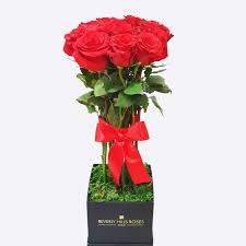 Be yourself, create your style. Long Stemmed Red Roses Bouquet Long Stemmed Hand Tied Flowers