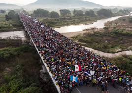 Image result for caravan of immigrants