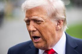 Voluntarios humanitarios denuncian arrestos violentos por parte de agentes  migratorios encubiertos en la frontera de Arizona