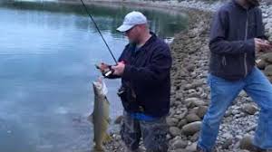 Popular Videos Glenmore Reservoir Fish Youtube