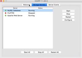 Apa Itu Xampp Inilah Ulasan Lengkapnya Badoy Studio