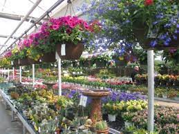 Its annual plant variety includes. Garden Centers Minneapolis St Paul Metro Area Wagners