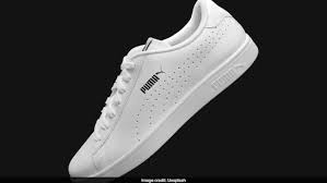Image result for Puma 10