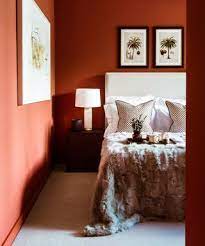6 Of The Best Terracotta Paints As