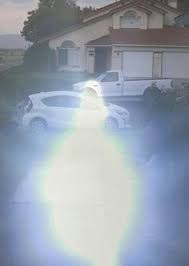 29 Miraculous photos of BVM ideas in 2023 | blessed mother, blessed virgin  mary, blessed mother mary