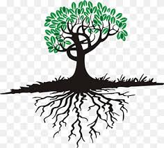 Roots Clipart Png Images Pngwing Pngkit selects 95 hd tree with roots png images for free download. roots clipart png images pngwing