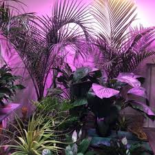 Through kansas's department for aging and disability services, the frail elderly waiver program fosters independence in seniors as an alternative to institutionalized care. World Wide Cactus 12 Photos Nurseries Gardening 2630 E Central Ave Wichita Ks Phone Number Yelp