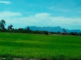 Kamu yang selama ini tinggal di kota dengan segala teknologi canggih pasti ada kalanya pengen merasakan kehidupan damai kayak gini. Bernamaians Suasana Damai Desa