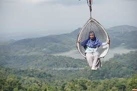 Check spelling or type a new query. Info Pulepayung Harga Tiket Masuk Rute Transportasi 10 Spot Foto Paket Wisata Jogja