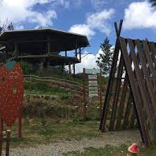 Mesilau nature park & resort by ezzat roslan. Photos At Strawberry Farm Mesilau