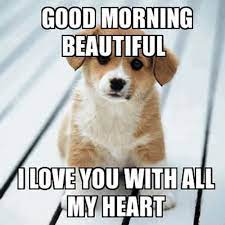 Good Morning My Love Meme Msgforlove