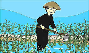 Membajak sawah dengan cara tradisional these pictures of this page are about:membajak sawah. Gambar Kartun Sawah