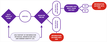 Collecting Sexual Orientation And Gender Identity